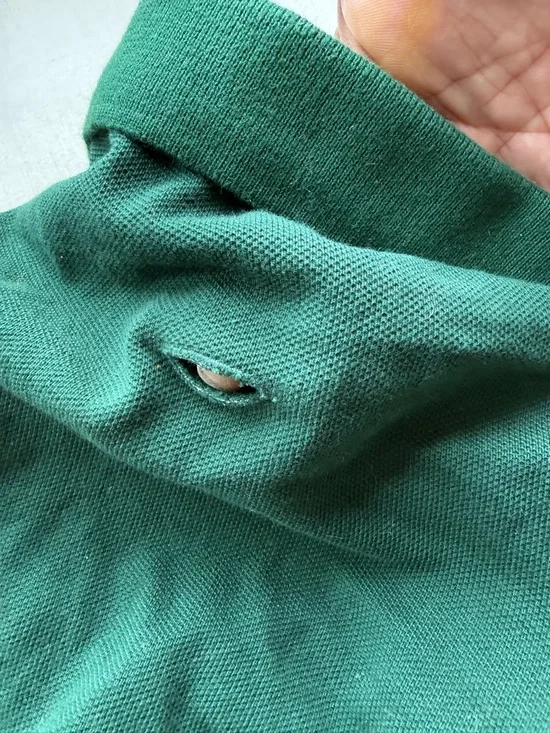 Polo by Ralph Lauren Green Short-Sleeve Dog Polo with Pink Pony - Picture 4 of 5